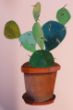 2015 ill. Cactus2.jpg